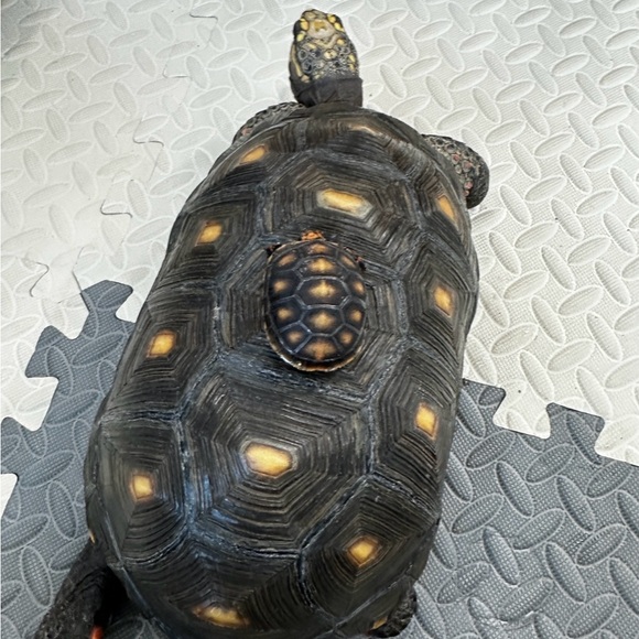 Meet your Posher, Gina - Picture 14 of 17